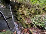 Lot 11 Silver Maple Trail - Photo 3