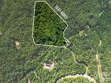 Lot 11 Silver Maple Trail - Photo 4