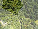 Lot 11 Silver Maple Trail - Photo 8