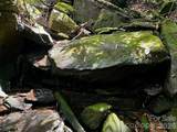 Lot 11 Silver Maple Trail - Photo 9