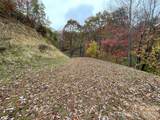 97 Junebug Trail - Photo 4