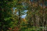 205 Chickadee Lane - Photo 11