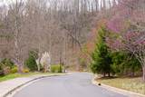 12 Grovepoint Way - Photo 6
