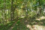 1623 Ammons Branch Road - Photo 11