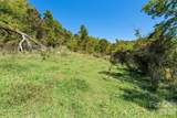 1623 Ammons Branch Road - Photo 14