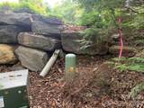 105 Crossvine Trail - Photo 2