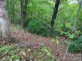 105 Crossvine Trail - Photo 4