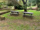 105 Crossvine Trail - Photo 39