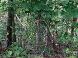 105 Crossvine Trail - Photo 10