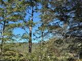 493 Spring Hill Road - Photo 5