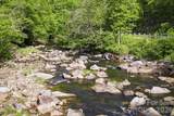 31 Waterdance Drive - Photo 11