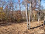 145 Stroud Mountain Trail - Photo 6