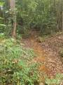 158 Dusty Hollow - Photo 30