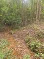 158 Dusty Hollow - Photo 4