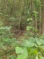 158 Dusty Hollow - Photo 32