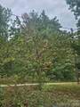 158 Dusty Hollow - Photo 8