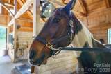 000 Deep Gap Farm Drive - Photo 8