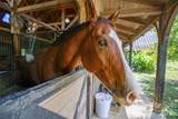 000 Deep Gap Farm Drive - Photo 10