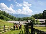 768 Boar Ridge Road - Photo 18