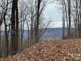 768 Boar Ridge Road - Photo 5