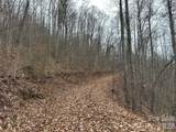 768 Boar Ridge Road - Photo 6