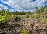 1.17 Acres 4805 Low Valley Way - Photo 3