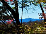 2800 Snipes Street - Photo 10