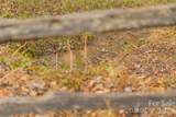 104 Robin Lane - Photo 40