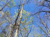00 Lytle Mountain Road - Photo 1