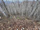Lot 7 Deer Ridge Road - Photo 1