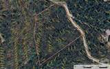 TBD Casey Mountain Road - Photo 10