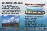 TBD Buck Mountain Road - Photo 1