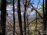 TBD Buck Mountain Road - Photo 13