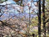 TBD Buck Mountain Road - Photo 14