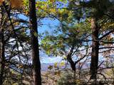 TBD Buck Mountain Road - Photo 15