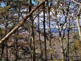 TBD Buck Mountain Road - Photo 16