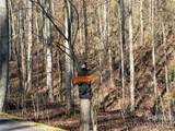 00 Mountain Watch Drive - Photo 18