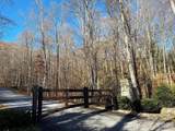 00 Mountain Watch Drive - Photo 7