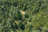 649 Old Nc 280 Highway - Photo 18