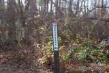 24 Lower Grassy Branch Road - Photo 38