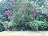 707 Lickskillet Road - Photo 12
