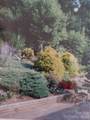 707 Lickskillet Road - Photo 9