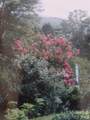 707 Lickskillet Road - Photo 10