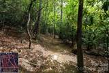 9999 North Fork Road - Photo 10