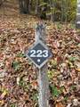 223 Flying Dutchman Road - Photo 3
