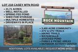 TBD Casey Mountain Road - Photo 1