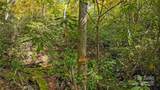 99999 Chastain Road - Photo 17