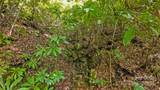 99999 Chastain Road - Photo 10