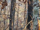 69 Adirondack Lane - Photo 14