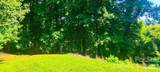117 Lonetree Circle - Photo 3